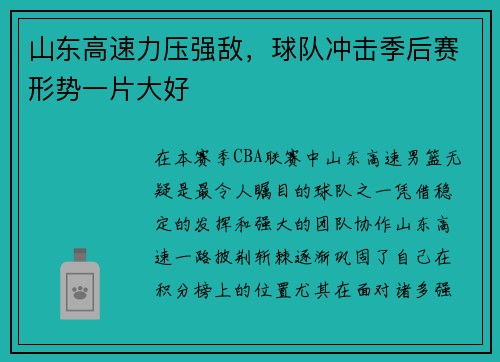 山东高速力压强敌,球队冲击季后赛形势一片大好